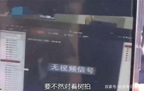 娱乐吃瓜酱偷电瓶,娱乐吃瓜酱的惊险一幕